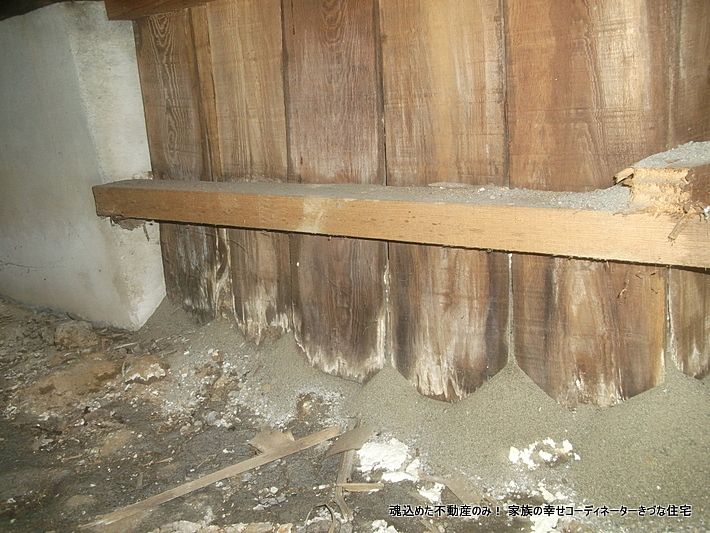年間木造戸建て売買・賃貸28件取扱不動産会社が床下（シロアリ・配管）点検を語ろう。